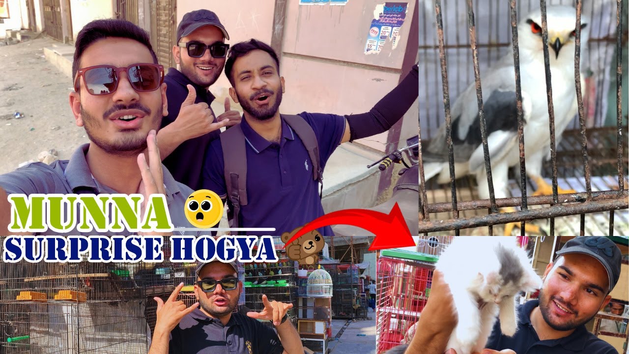 Asad ka munna surprise hogya :)