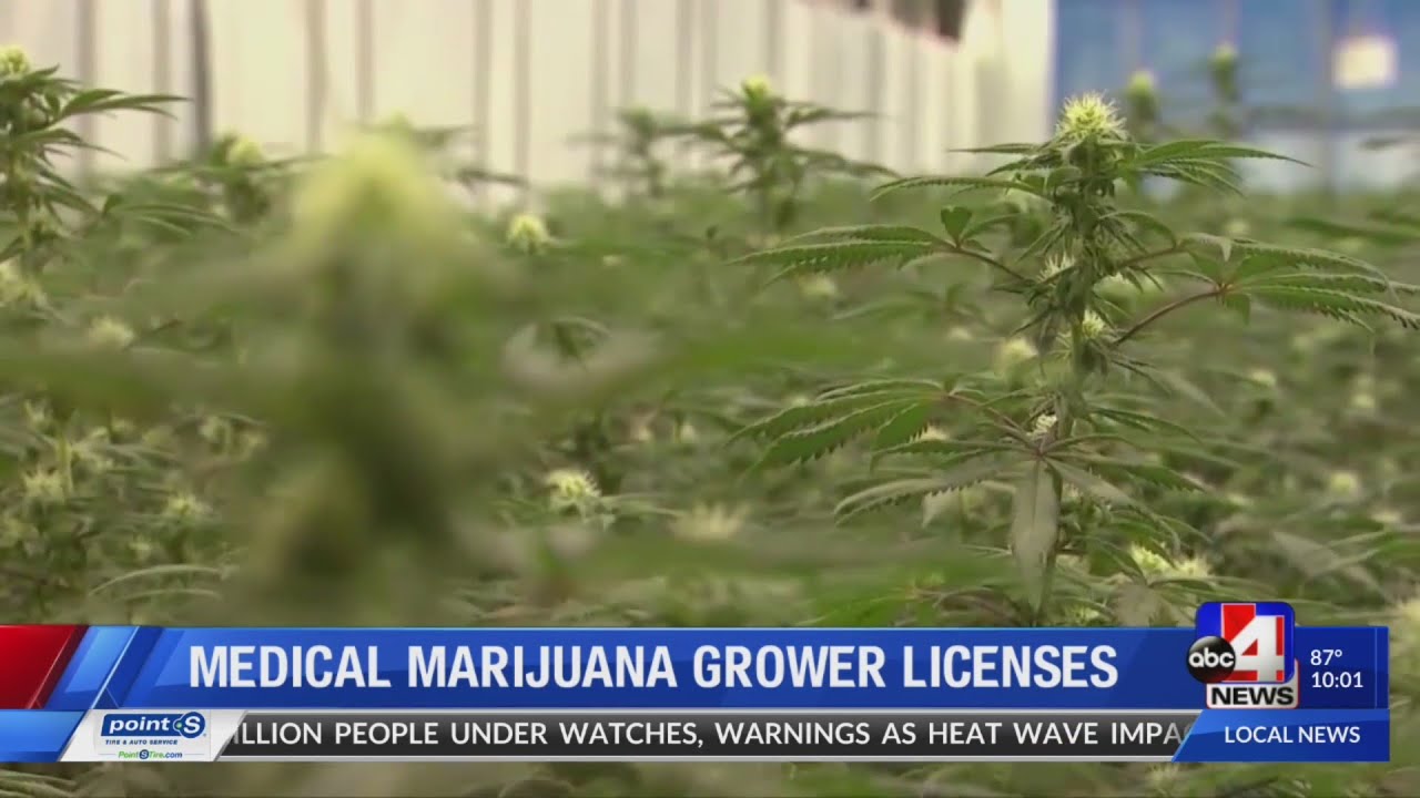 Medical Marijuana Grower Licenses