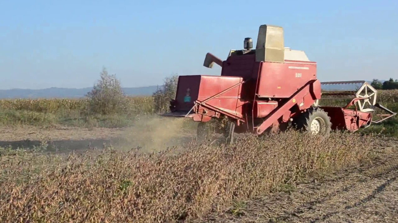 International  321 IHC soybean harvest