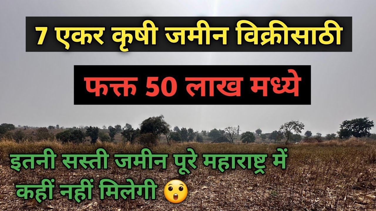 7 Acres Agricultural Land For Sale || Only ₹ 50 Lakh || 7 एकर कृषी जमीन विक्रीसाठी