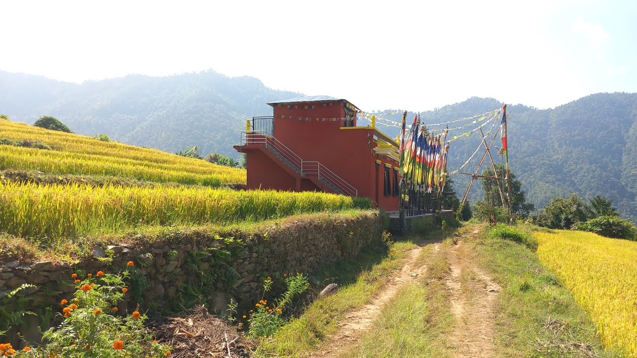 Exploring the patle village.. #patle #viral #viralvideo #villagevlog 