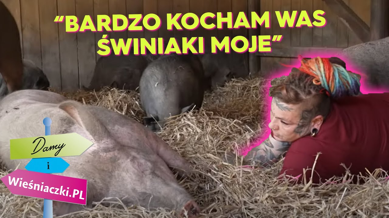 20 tys. za utrzymacie świń?! 😮&zwj;💨| Damy i Wieśniaczki