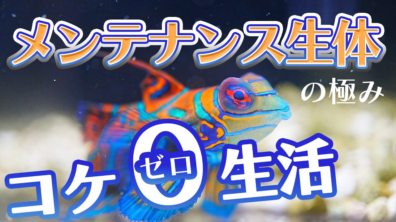 ショートマンTV！メンテナンス生体の極み“改”