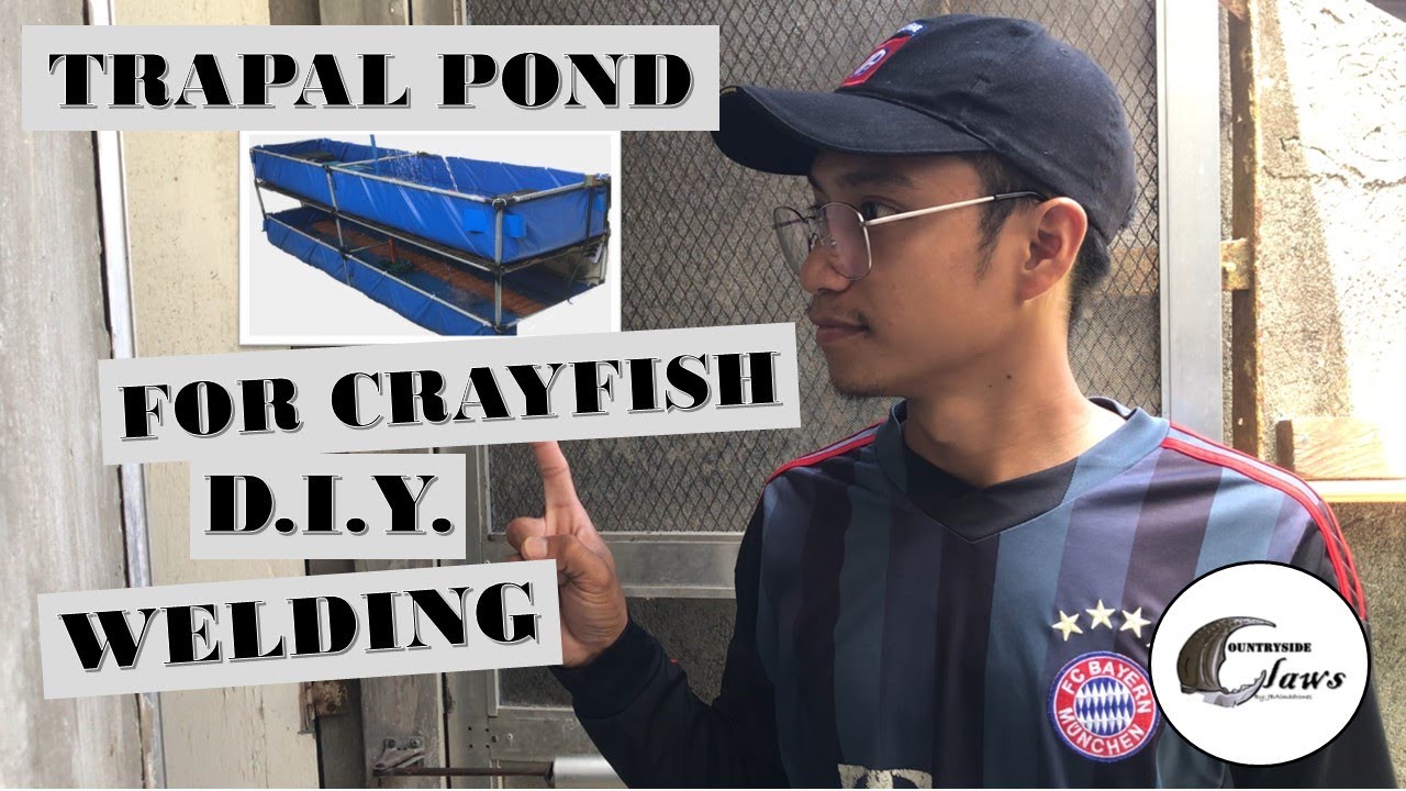 Paano gumawa ng crayfish pond | Fish pond | DIY 2 layer trapal pond Timelapse |  Crayfish Farming