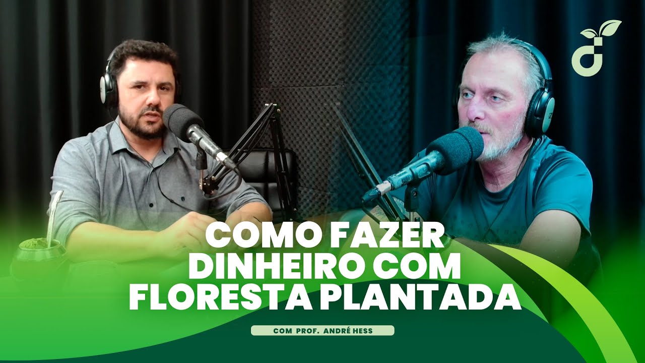 Como Fazer Dinheiro com Floresta Plantada - Dúvida Rural #1