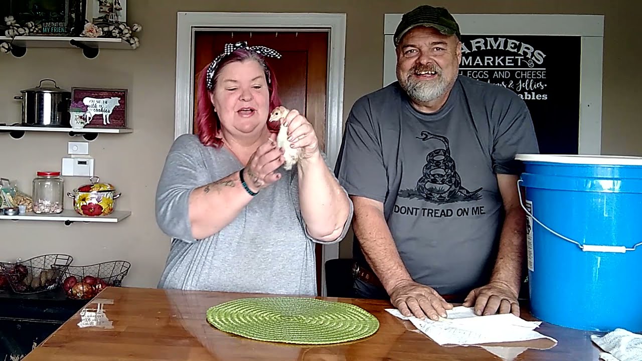 Turkey Gender Reveal Party !  #turkeys #gender #tutorial
