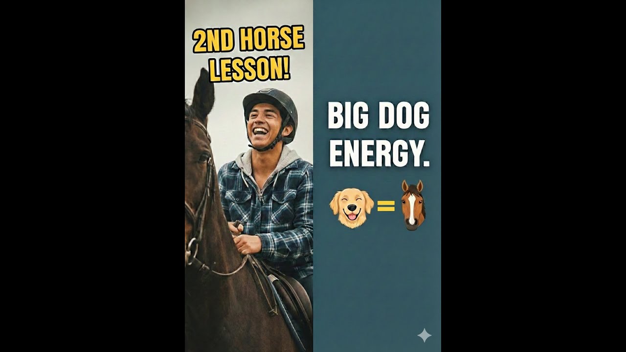 Who Really Is Man's Best Friend? My Second Time. Rugged Cross Stables