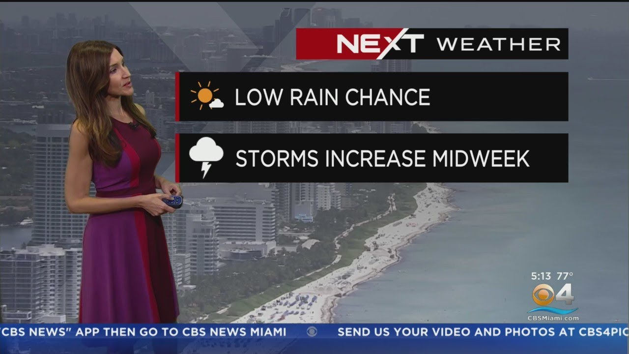 Miami Weather 10/3/2022 5AM