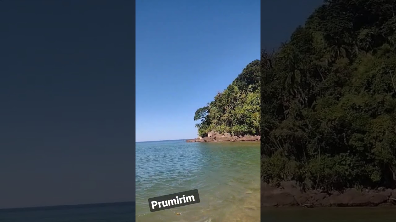 UBATUBA - Prumirim #shorts