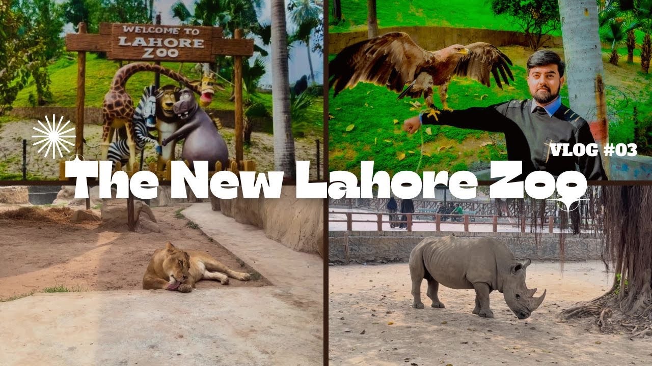 Amazing Animals & Fun Day at Lahore Zoo 4K | Real Life With Majid