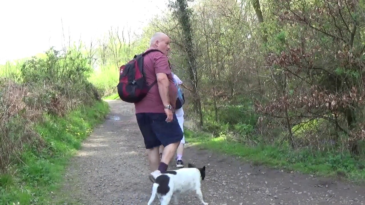 Knoll Park Neath