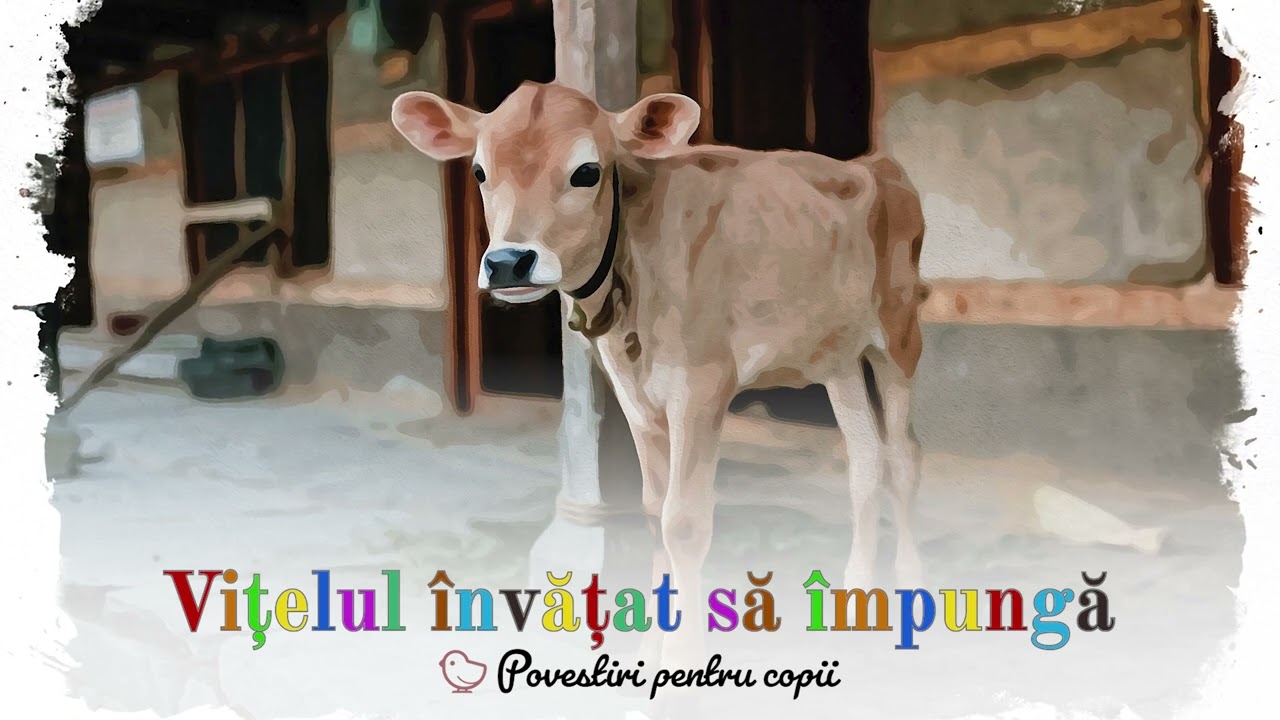 Vițelul învățat să împungă | Povestiri pentru copii | TRAIAN DORZ