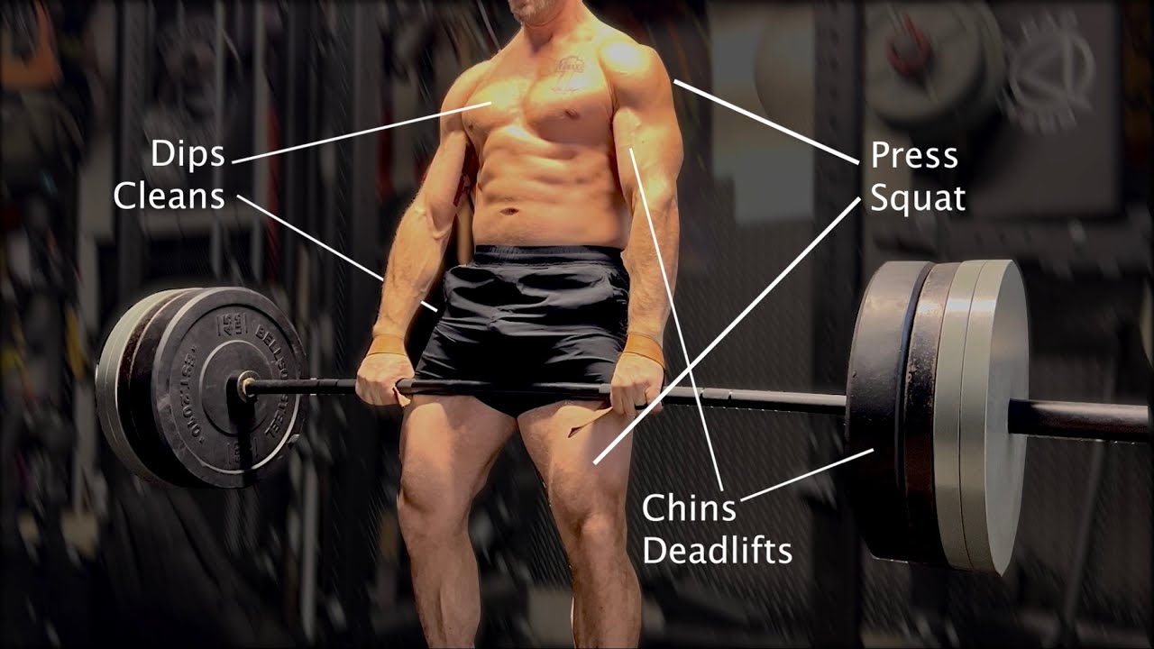 5 Reasons Why FULL BODY Workouts Are Best!