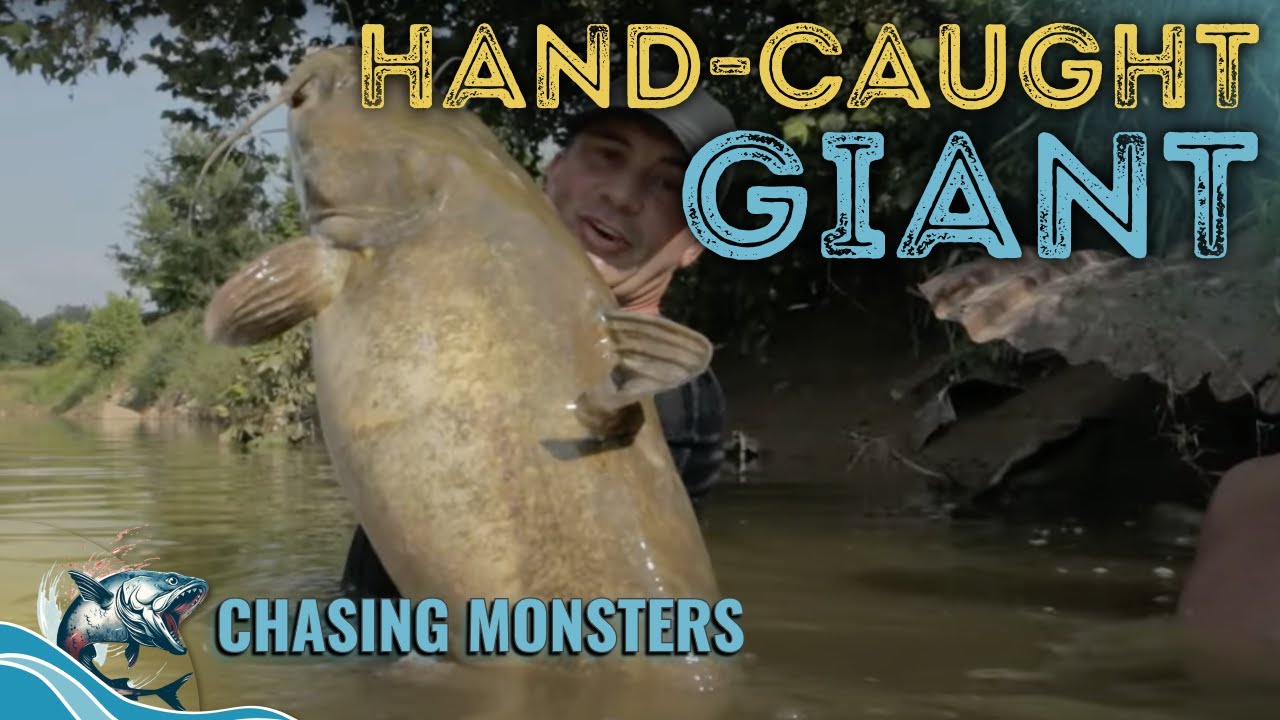 Tricky Catfish NOODLING! - Chasing Monsters - Fishing Show