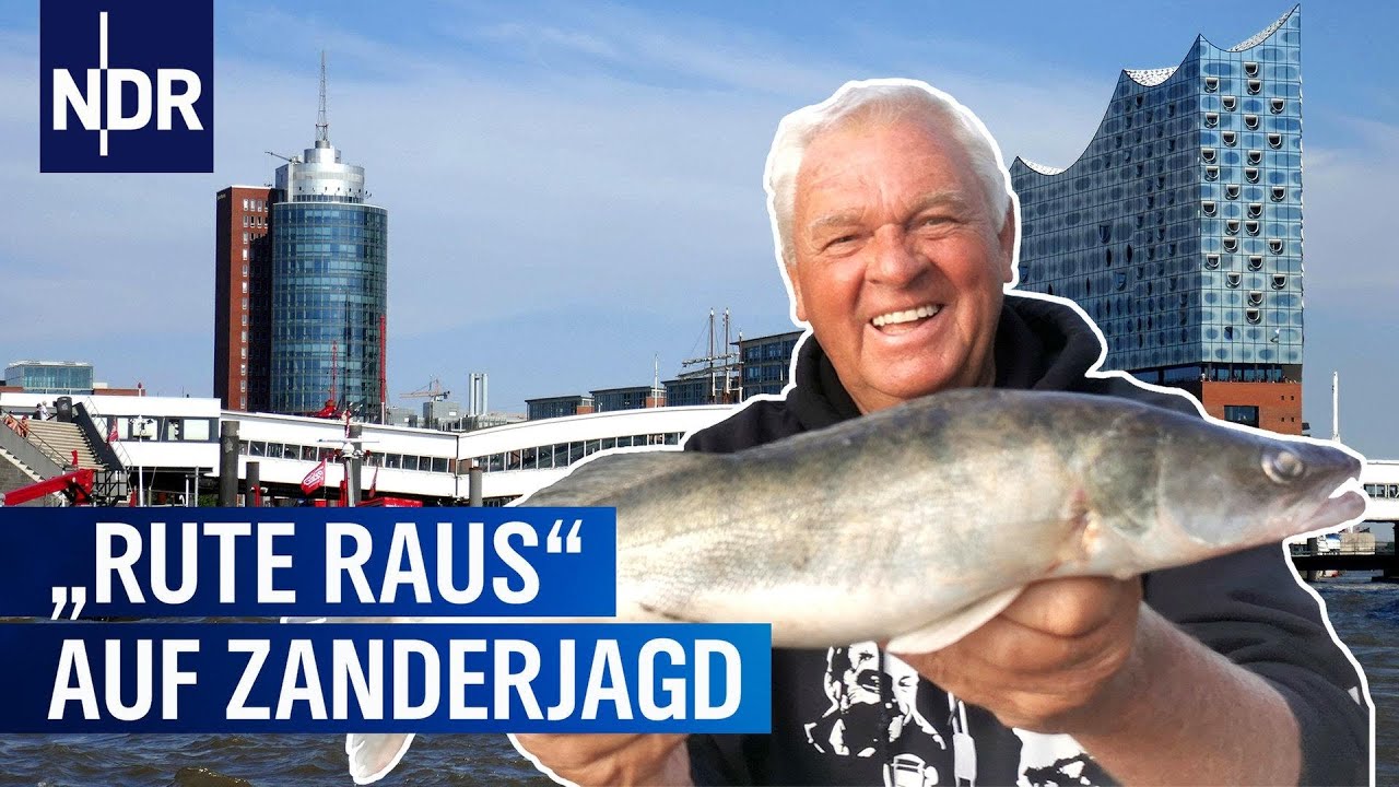 Auf Zanderjagd in der Hamburger HafenCity | Rute raus, der Spaß beginnt! | NDR