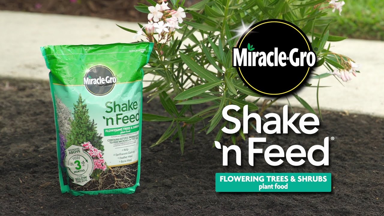 How to Use Miracle-Gro&reg; Shake 'n Feed&reg; Flowering Trees & Shrubs Plant Food