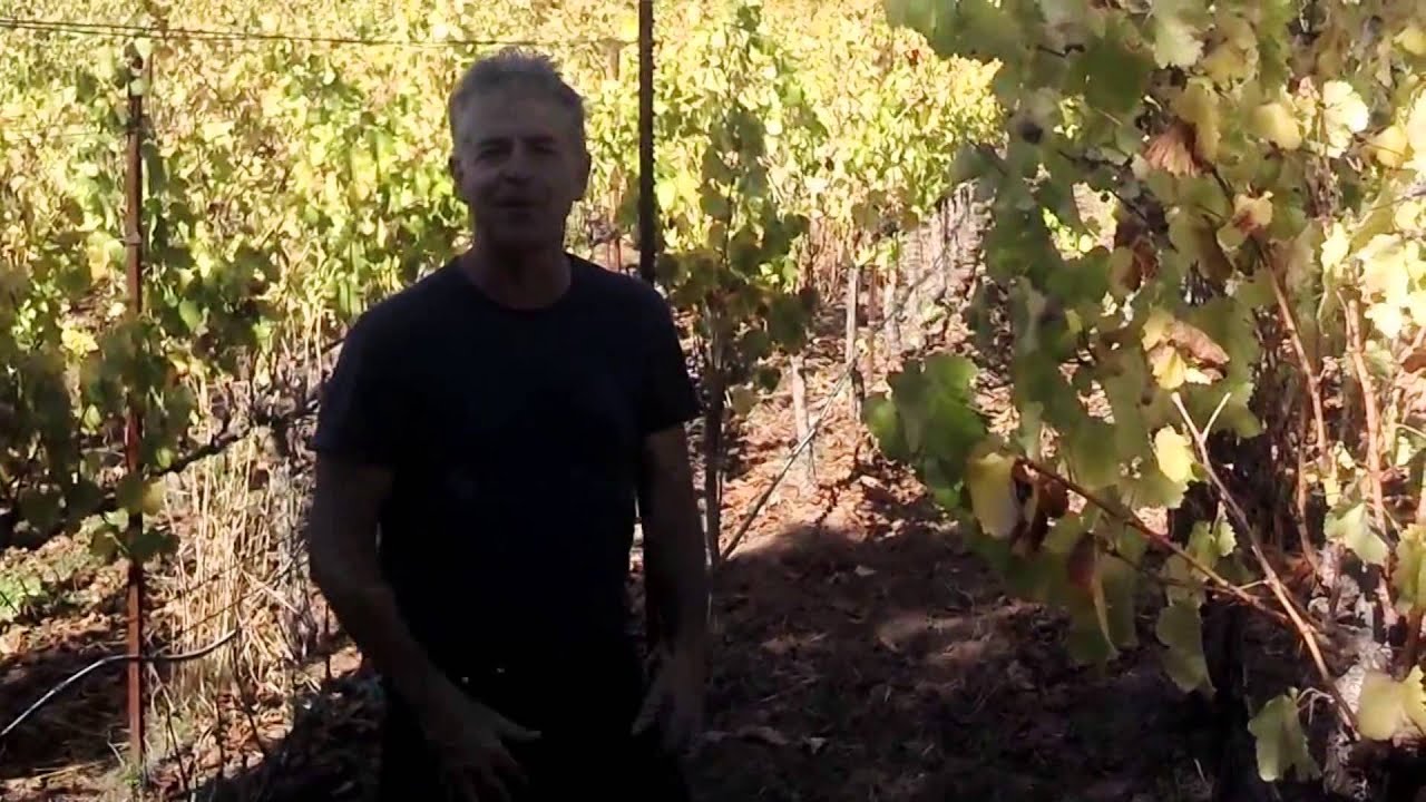 The Tractor Chronicles ~Season 2~ Winter Cover Crop Post-Seeding