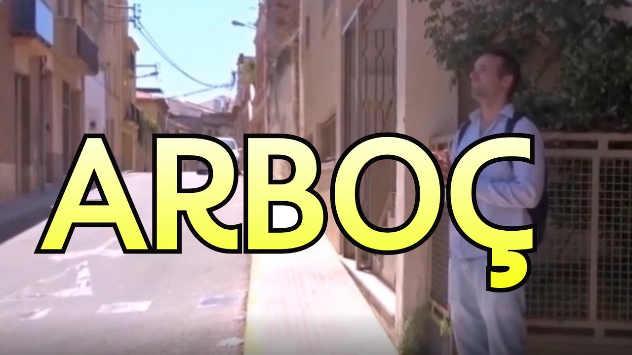 L' ARBOÇ | España 🇪🇸