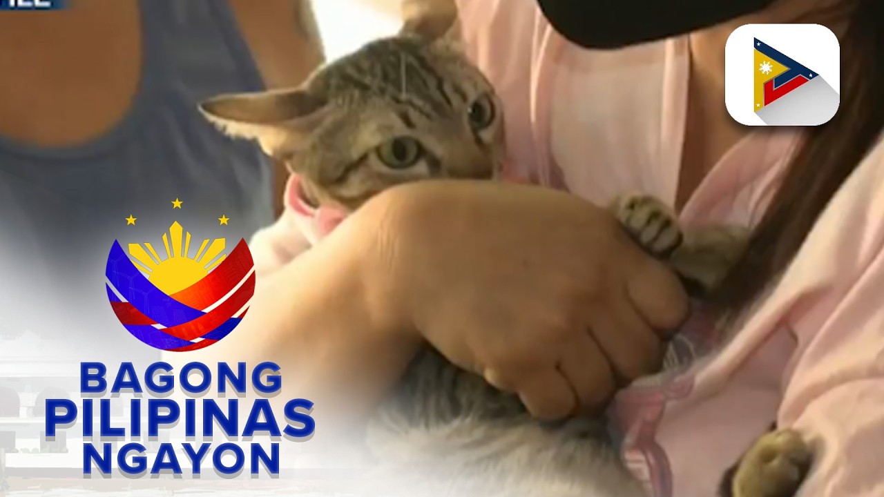 Panayam kay College of  Veterinarian Medicine, UP Los Baños Dr. DJ Darwin Bandoy ukol sa...