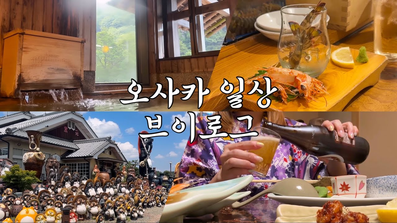 [오사카근교 여름온천여행] 너구리 마을! 산 속 료칸 가고 이자카야 투어한 일상
