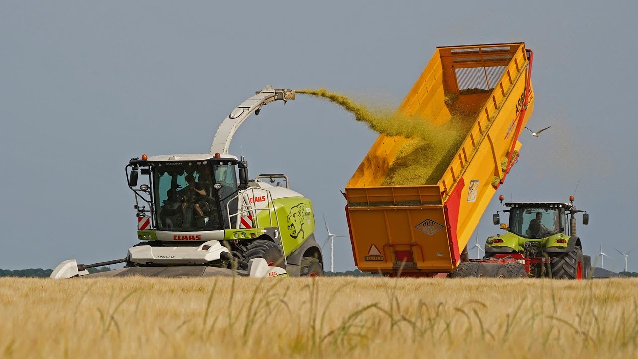 Harvest 2022 | Whole crop barley silage | Claas Jaguar 960 + much more!