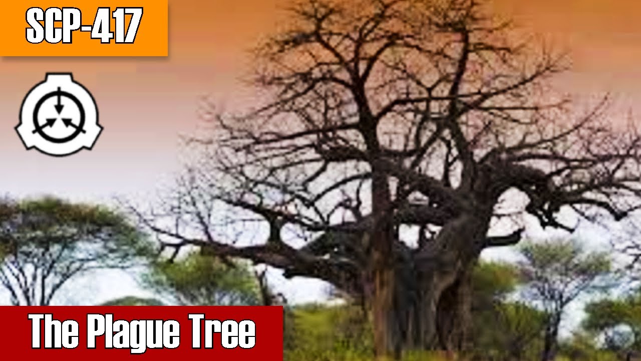 SCP Decoded Reading: SCP-417 The Plague Tree