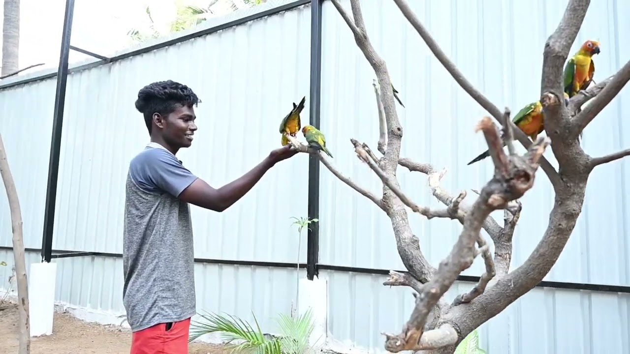 NN Pets Park| Murungapettai,Trichy|