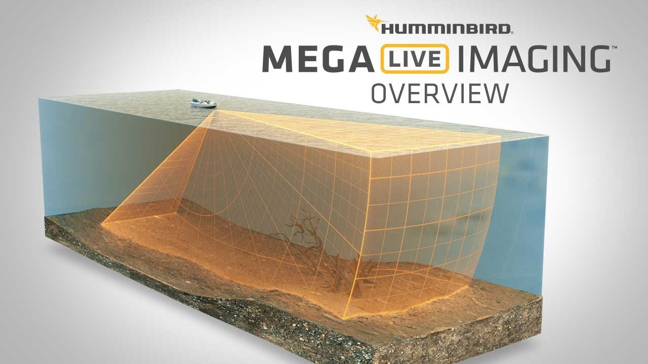 Что такое MEGA Live Imaging&trade; и как его интерпретировать | Humminbird