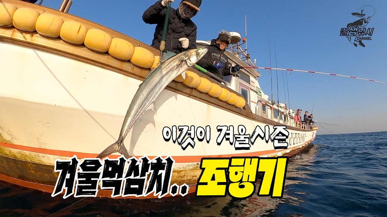 시즌기록! 겨울먹삼치…조행기 [길샘낚시]