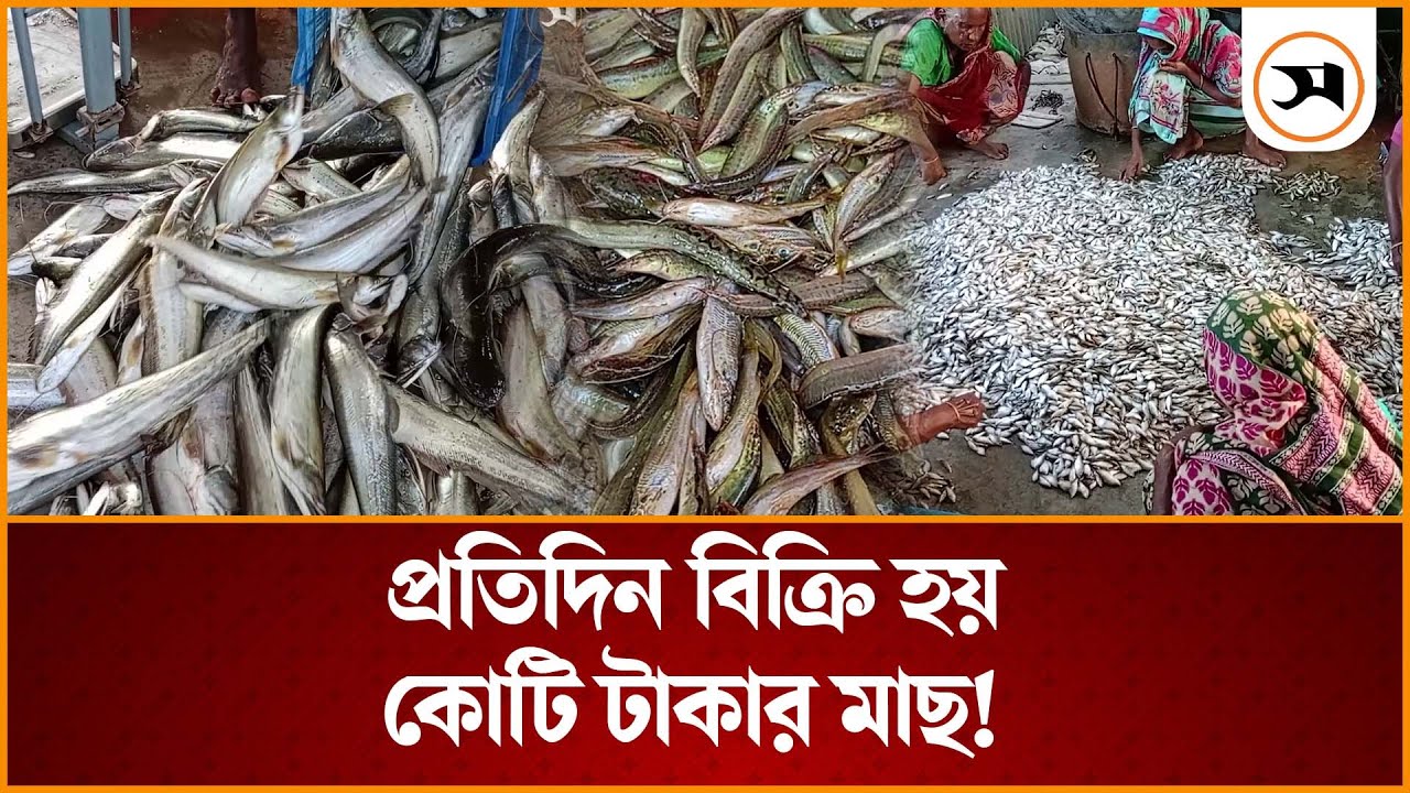 কিশোরগঞ্জে প্রতিদিন কোটি টাকার মাছ বেচাকেনা হয় যে বাজারে | Kishoreganj | Samakal News