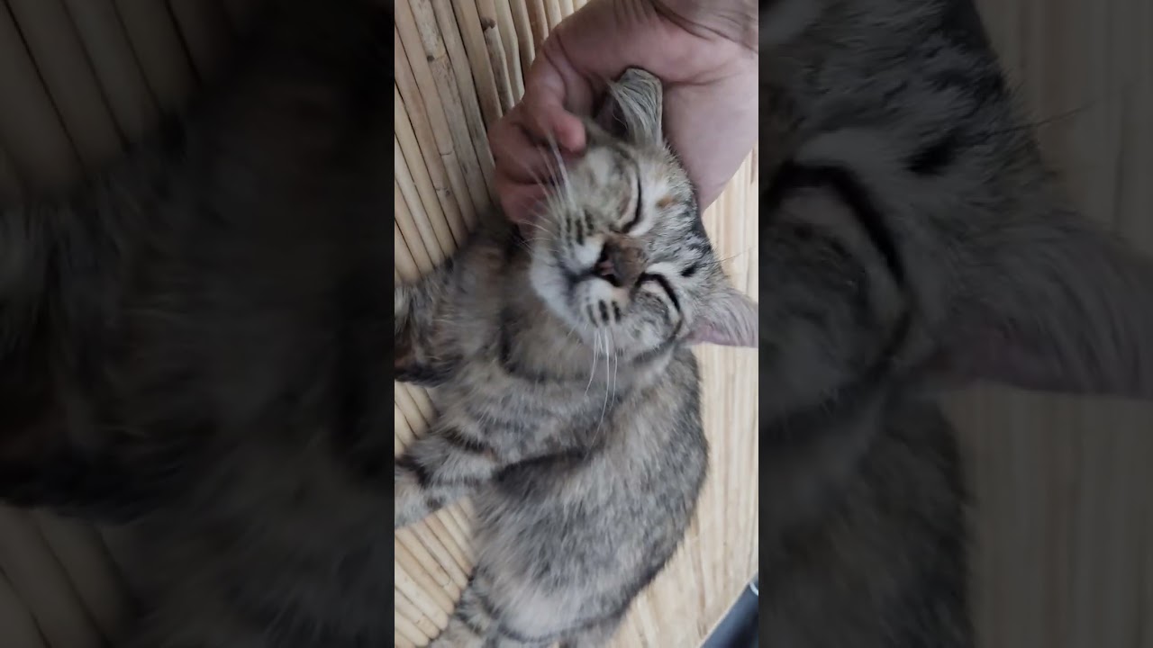 ❤️❤️❤️❤️😁😁