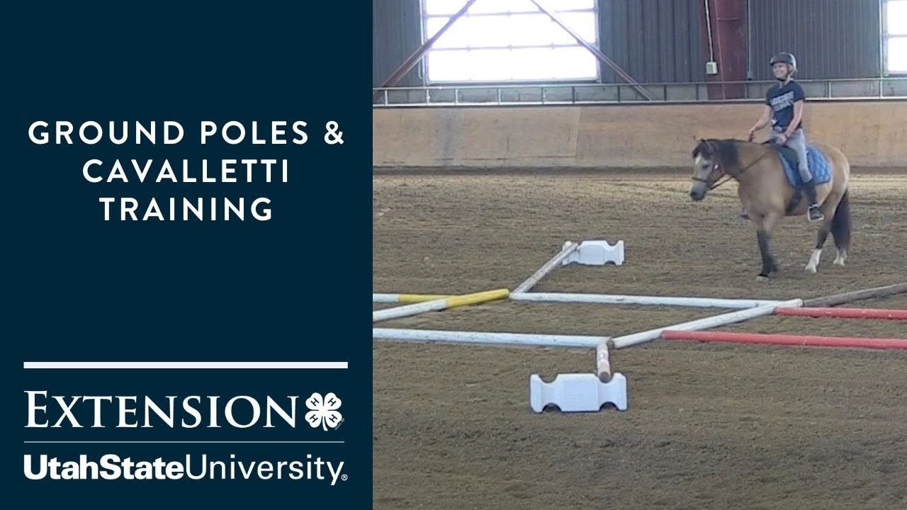 Ground Poles & Cavalletti Training for Horses