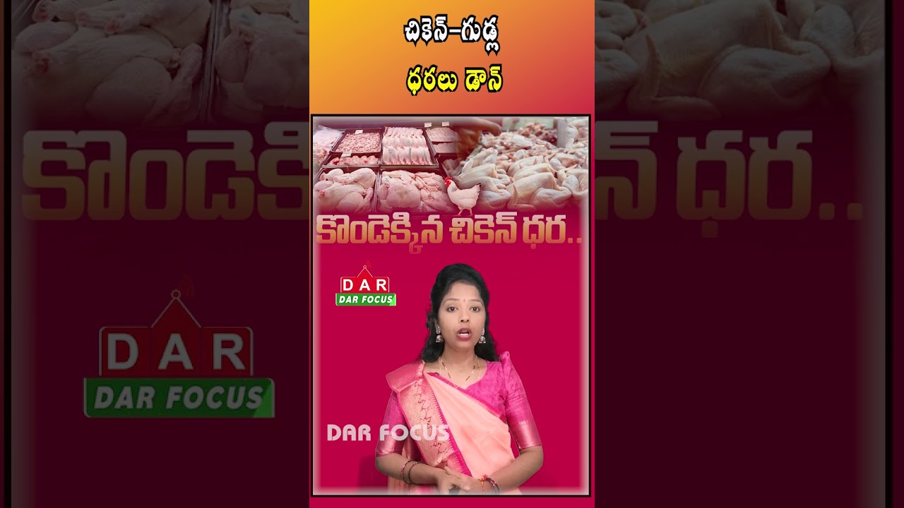 Chicken and Egg Prices Fall in Telugu States: Big Relief | Latest updates | DAR FOCUS #darfocus