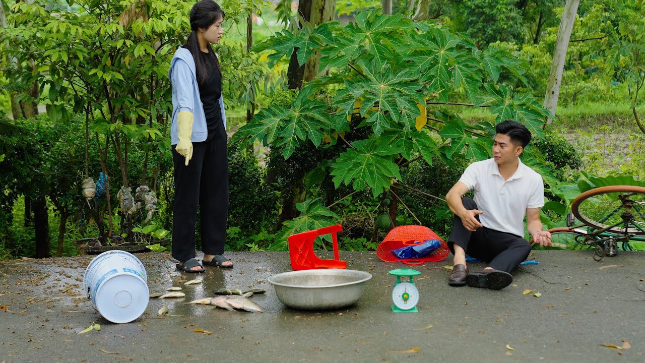 CHỦ TỊCH VỀ QUÊ CHẠY TRỐN HÔN NHÂN SẮP ĐẶT | CƠM ÁO GẠO TIỀN TẬP 973