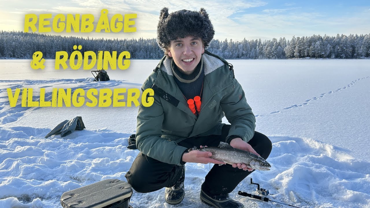 Pimpelfiske efter röding och regnbåge i Villingsberg