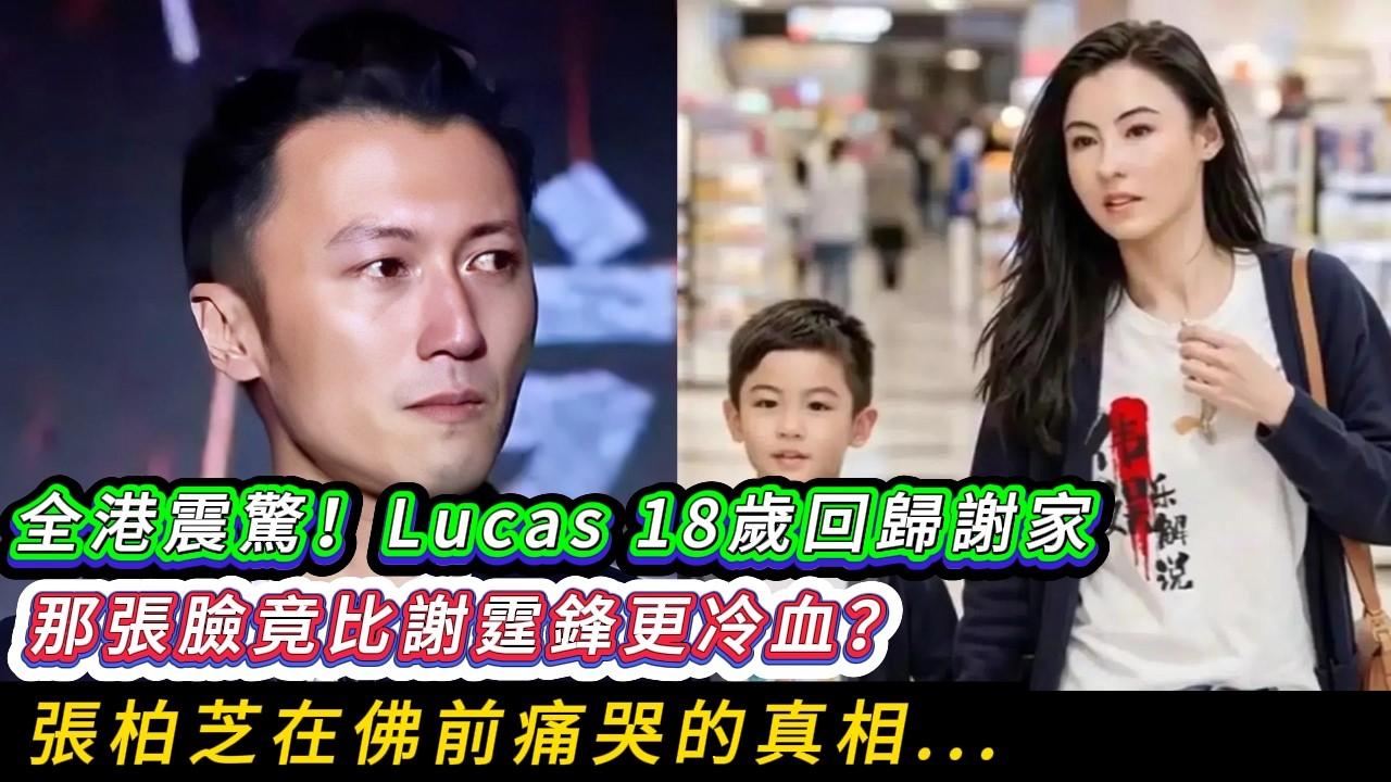 45歲張柏芝做夢也沒想到：她押上半生名譽與血淚，竟將那深入骨髓的謝家基因，養成了自己最忠誠的復仇之劍——這是一場跨越18年、最淒涼也最華麗的宿命救贖。