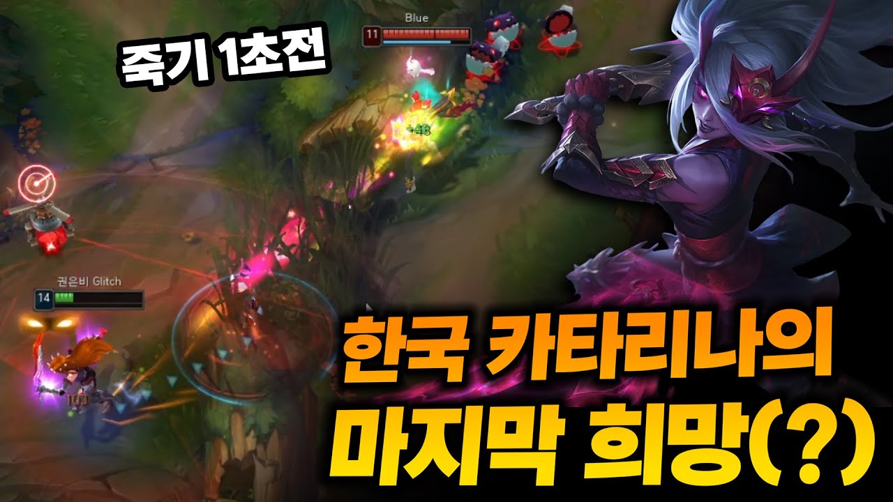 카타리나의 붐은 온다 (진짜임)