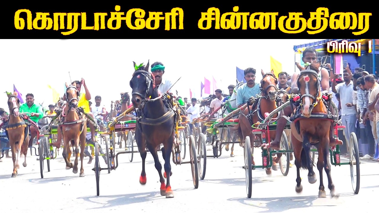 கொரடச்சேரி சின்னகுதிரை 1 - 15.02.2026