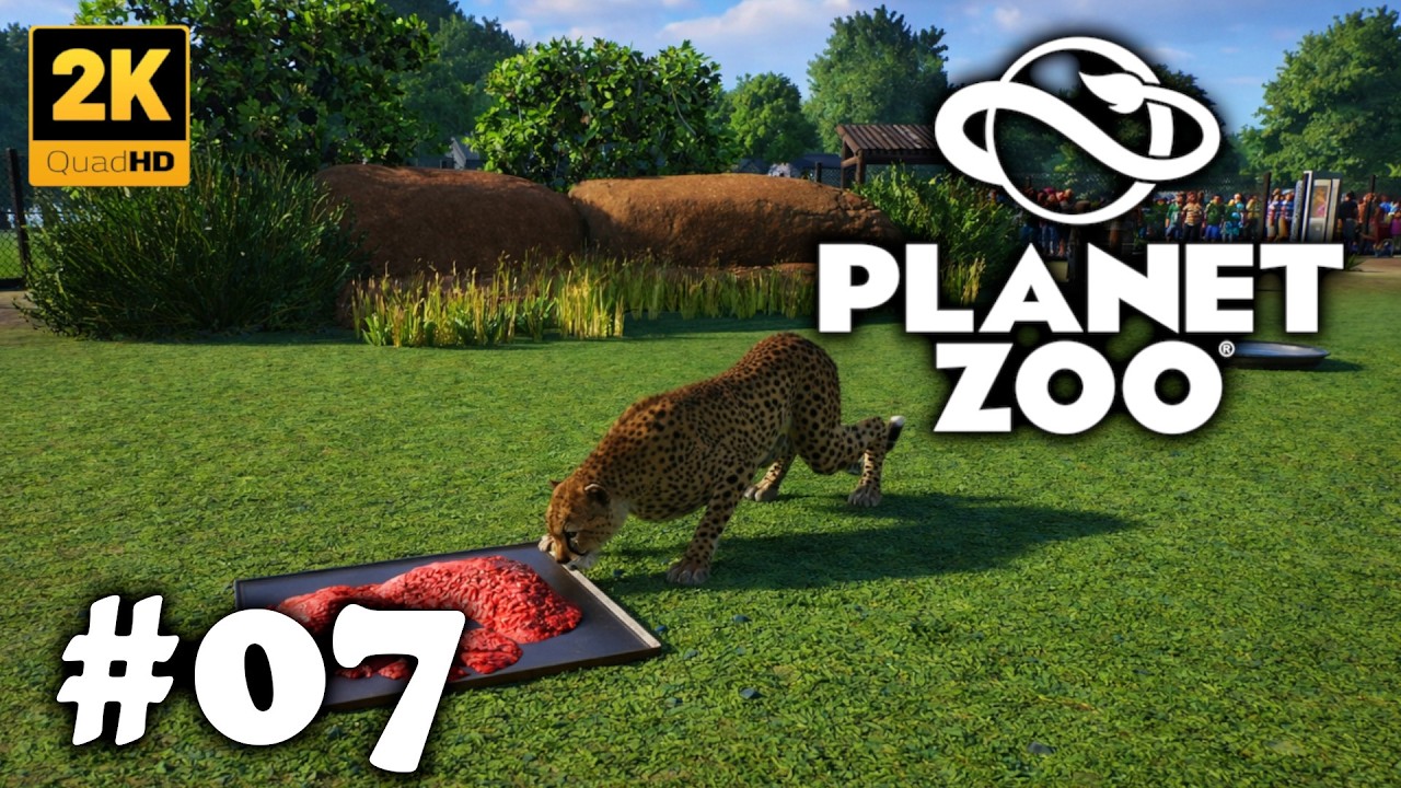 Planet Zoo 🐘 #07: Der Gepard ist da [XXL FOLGE] 🤗🐆 [Deutsch] [PC]