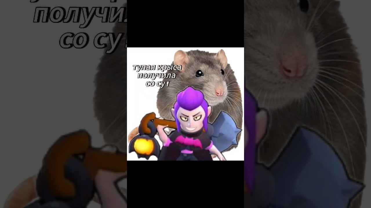 НОВЫЙ ЗАВОЗ В DADDY SHEF X Мортис крыса 