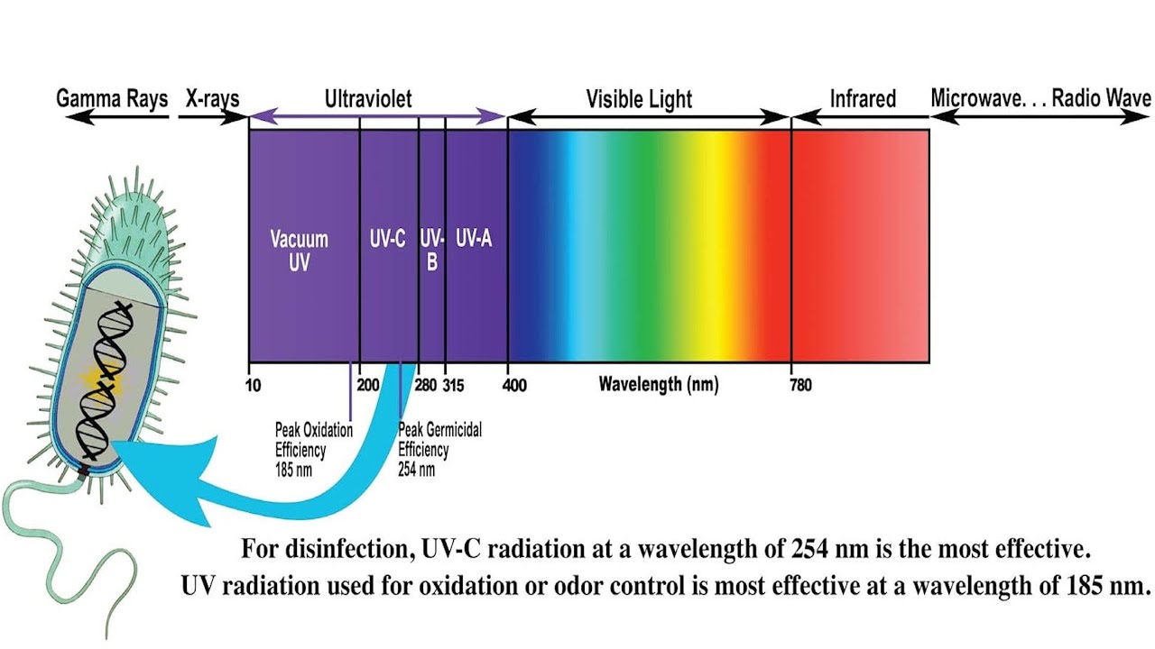 Understanding Ultraviolet UV Radiation and its Effects