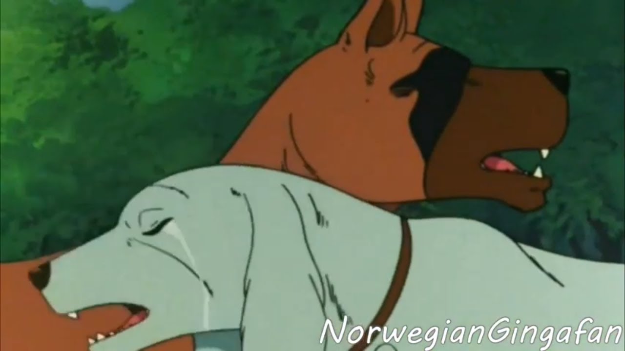 Ginga ~ Colors of love