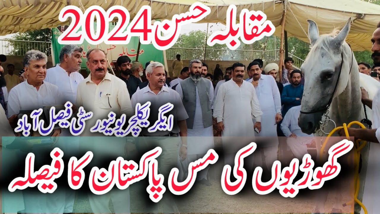 Muqabla E Husan Desi Ghorian || University of Agriculture 2024 || IHB Event