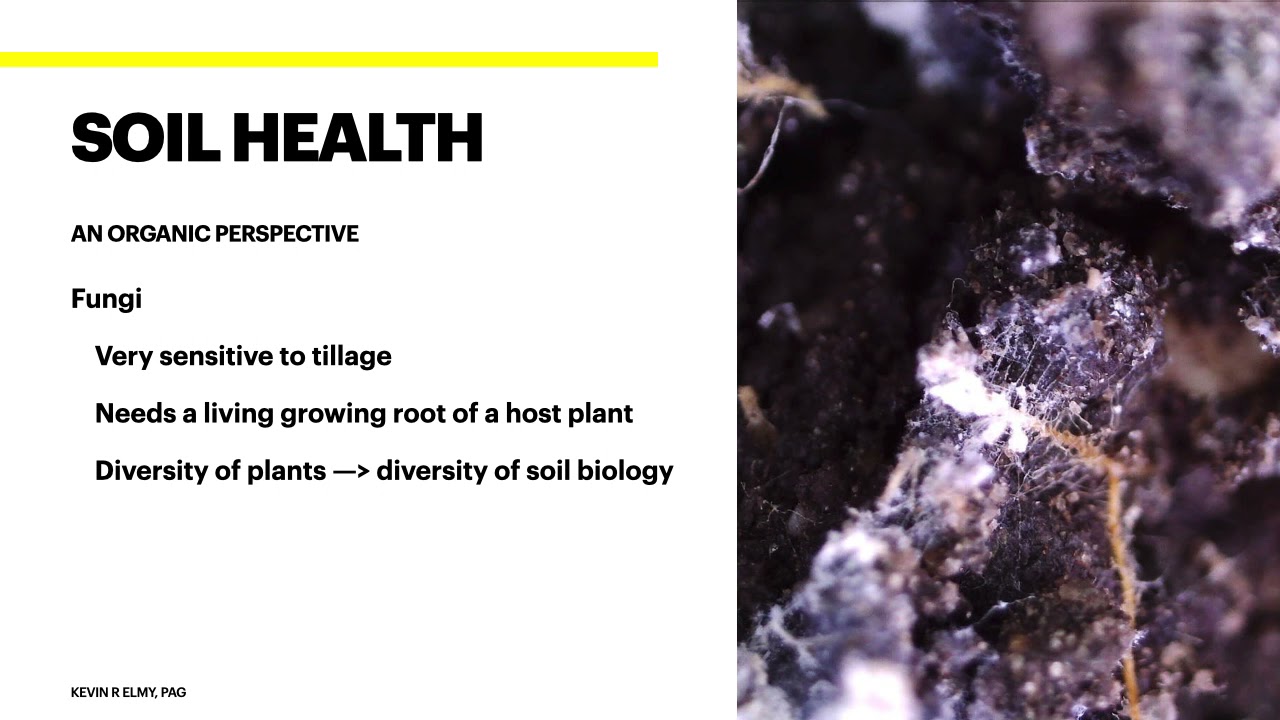 Soil Health and Cover Cropping