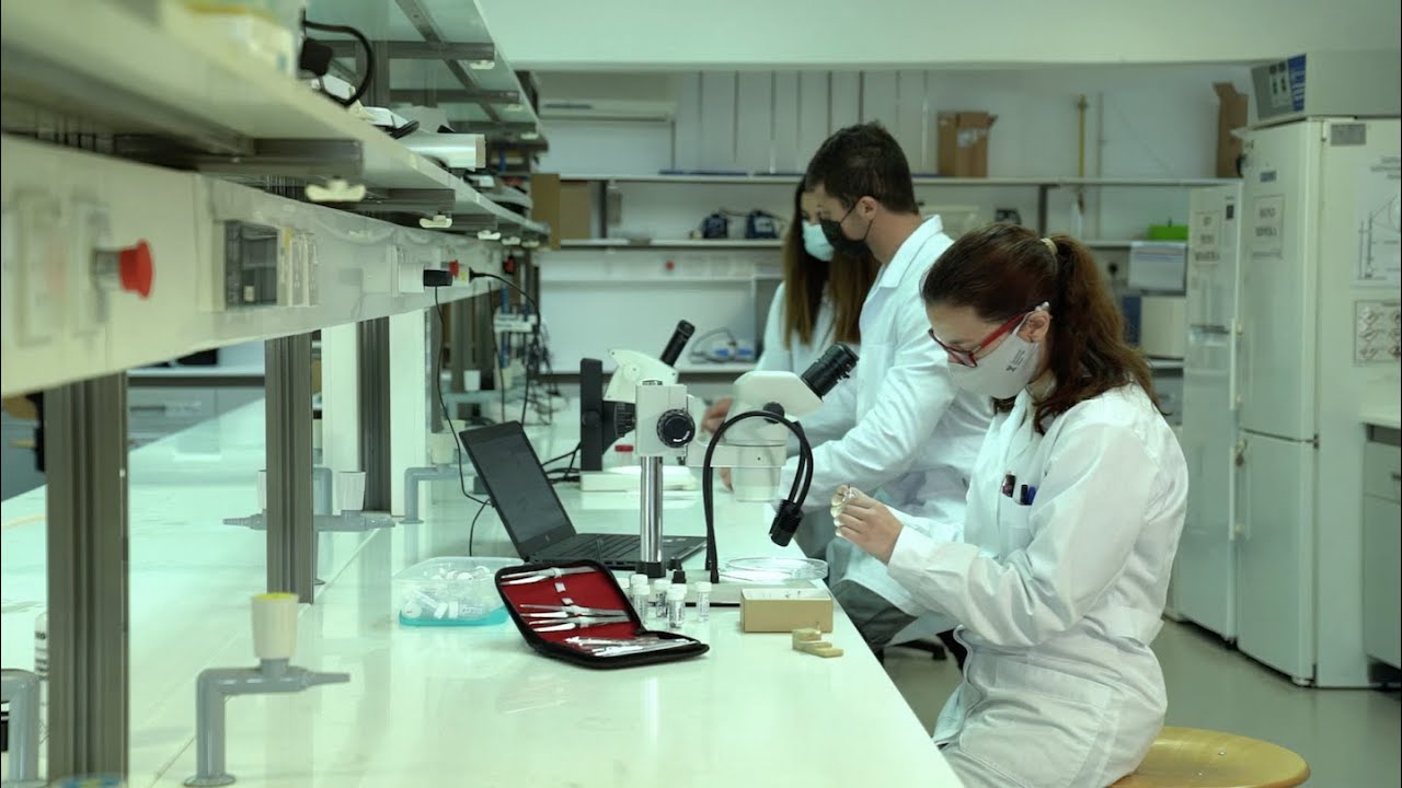 Identification and Distribution of Mosquito Vectors of Medical Importance on the island of Cyprus