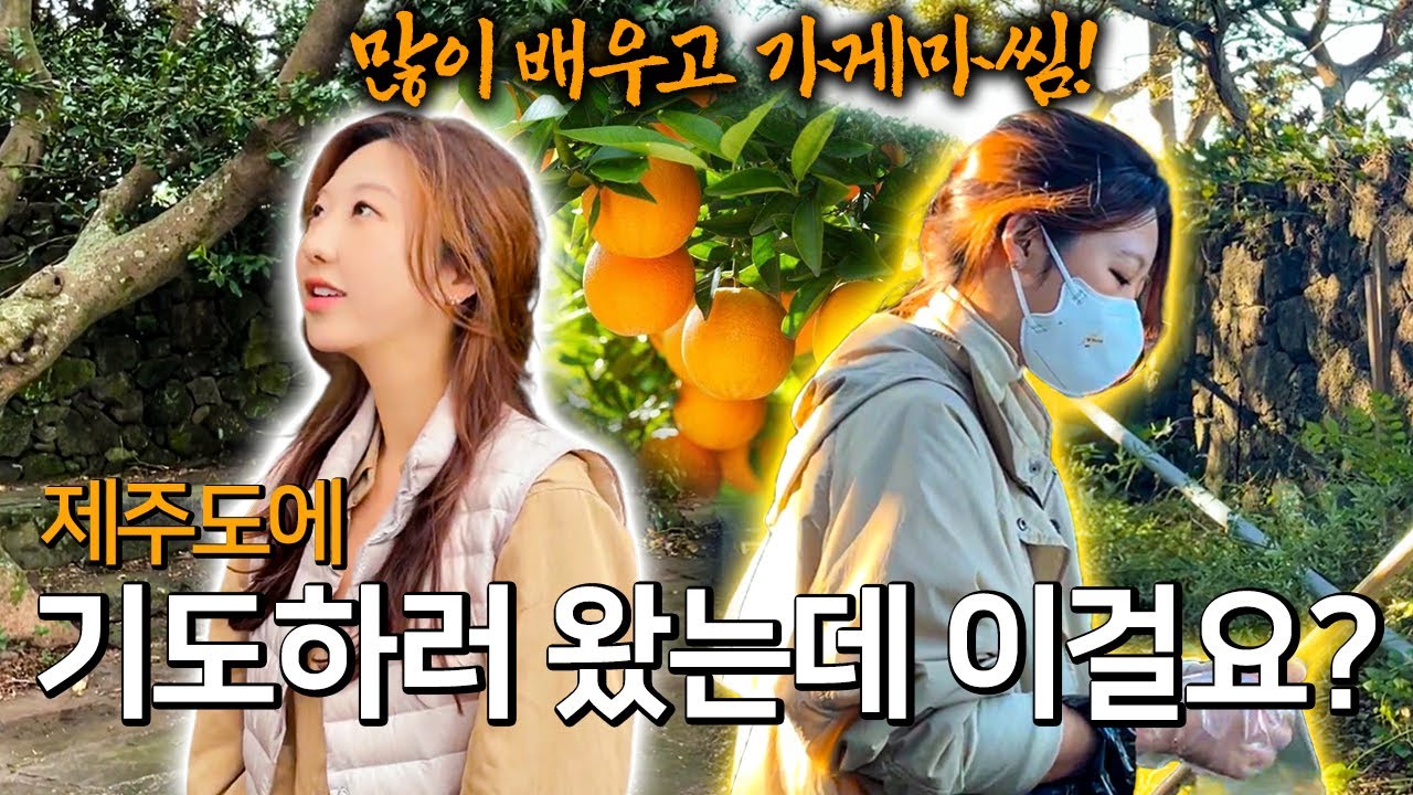 제주도 기도 여행 중, 굴묵밭 할망당에서 예상 못한 일이 벌어졌습니다