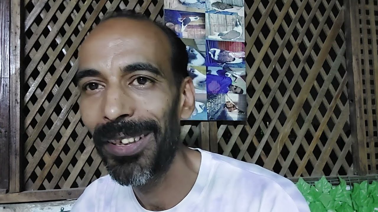 تاريخ الهرم ف الغيه#ماجد_الهرم