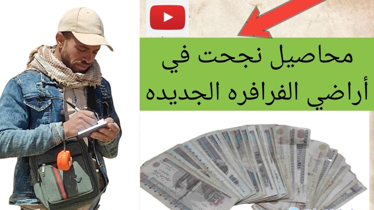 تزرع اي في اول موسم للارض؟؟ المحاصيل التي تناسب الاراضي الجديده واثبتت نجاحها علي ارض الواقع.