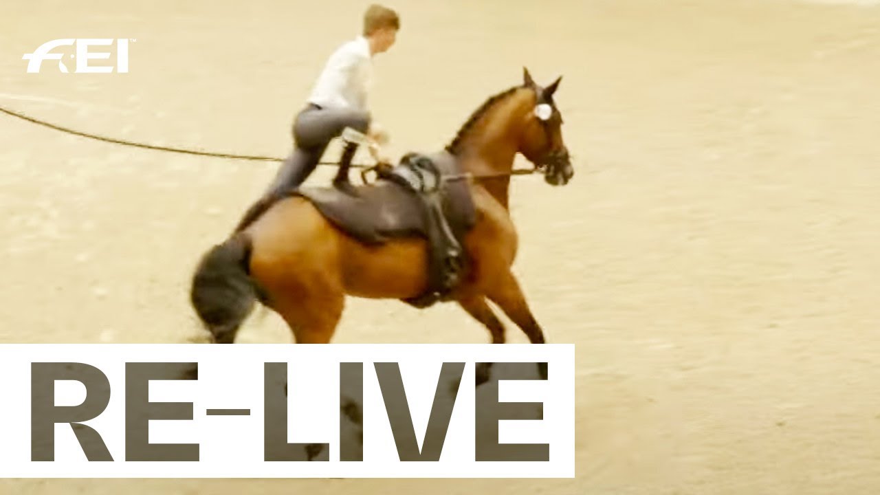 RE-LIVE | Individual Male - Junior Final Freestyle I FEI Vaulting European Championship for Juniors