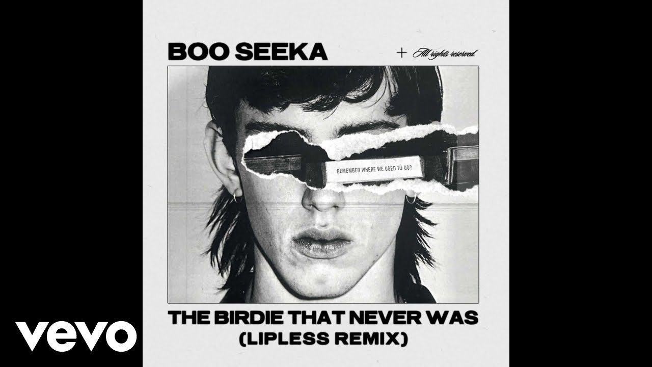 Boo Seeka - The Birdie That Never Was (Lipless Remix)